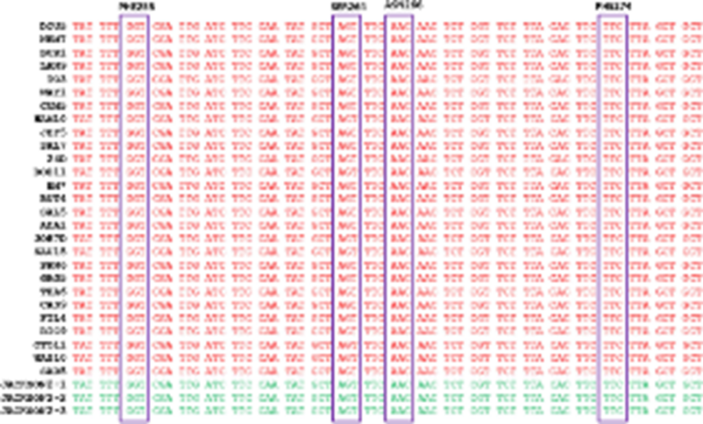 Data-intense chart, decorative